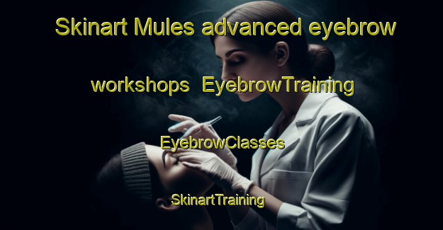Skinart Mules advanced eyebrow workshops | EyebrowTraining | EyebrowClasses | SkinartTraining-Italy