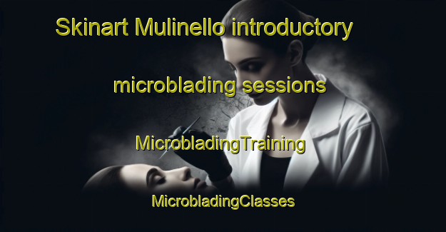 Skinart Mulinello introductory microblading sessions | #MicrobladingTraining #MicrobladingClasses #SkinartTraining-Italy