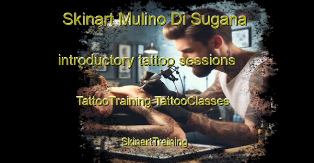 Skinart Mulino Di Sugana introductory tattoo sessions | #TattooTraining #TattooClasses #SkinartTraining-Italy