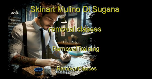Skinart Mulino Di Sugana removal classes | RemovalTraining | RemovalClasses | SkinartTraining-Italy