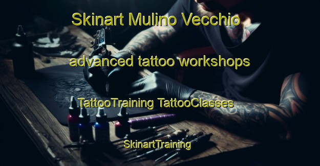 Skinart Mulino Vecchio advanced tattoo workshops | #TattooTraining #TattooClasses #SkinartTraining-Italy