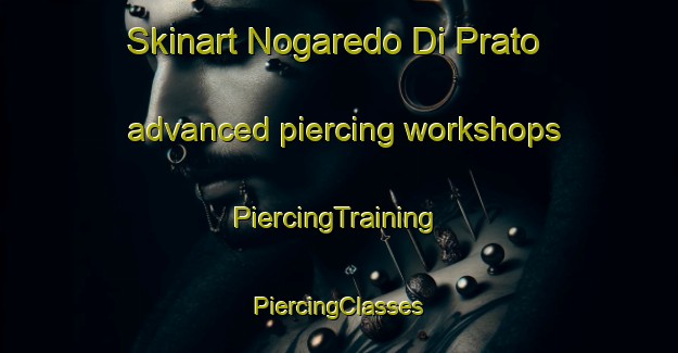 Skinart Nogaredo Di Prato advanced piercing workshops | #PiercingTraining #PiercingClasses #SkinartTraining-Italy