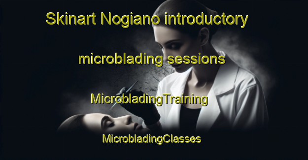 Skinart Nogiano introductory microblading sessions | MicrobladingTraining | MicrobladingClasses | SkinartTraining-Italy