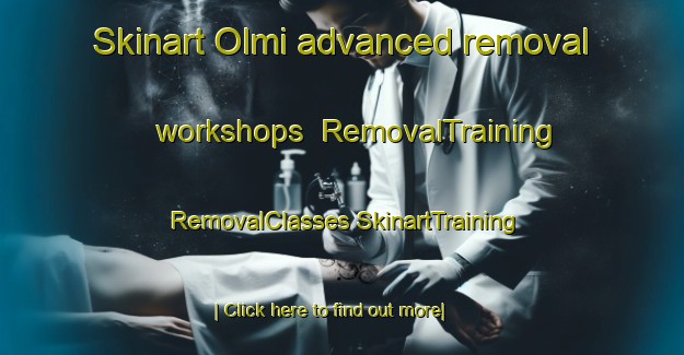 Skinart Olmi advanced removal workshops | #RemovalTraining #RemovalClasses #SkinartTraining-Italy