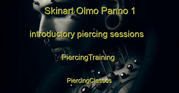 Skinart Olmo Panno 1 introductory piercing sessions | #PiercingTraining #PiercingClasses #SkinartTraining-Italy