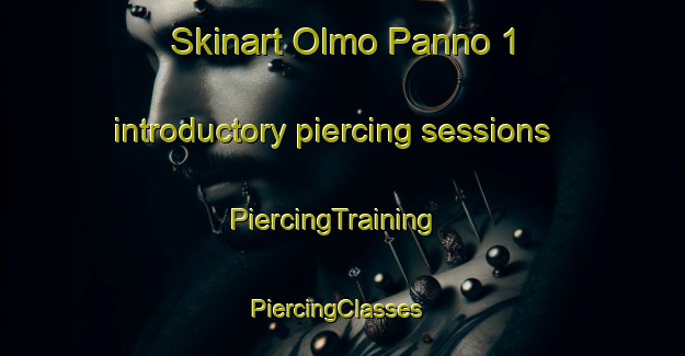 Skinart Olmo Panno 1 introductory piercing sessions | PiercingTraining | PiercingClasses | SkinartTraining-Italy