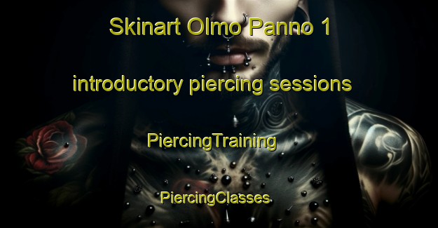Skinart Olmo Panno 1 introductory piercing sessions | PiercingTraining | PiercingClasses | SkinartTraining-Italy