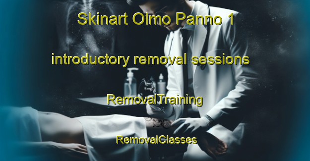 Skinart Olmo Panno 1 introductory removal sessions | RemovalTraining | RemovalClasses | SkinartTraining-Italy