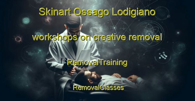Skinart Ossago Lodigiano workshops on creative removal | RemovalTraining | RemovalClasses | SkinartTraining-Italy