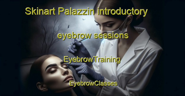 Skinart Palazzin introductory eyebrow sessions | EyebrowTraining | EyebrowClasses | SkinartTraining-Italy