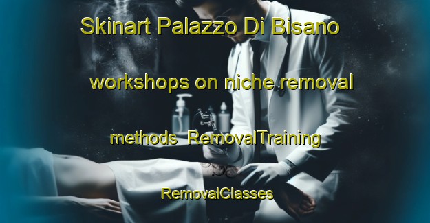 Skinart Palazzo Di Bisano workshops on niche removal methods | RemovalTraining | RemovalClasses | SkinartTraining-Italy