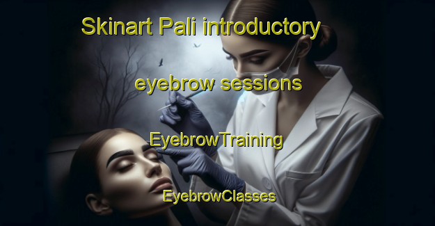 Skinart Pali introductory eyebrow sessions | EyebrowTraining | EyebrowClasses | SkinartTraining-Italy