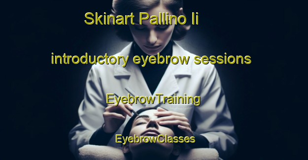 Skinart Pallino Ii introductory eyebrow sessions | EyebrowTraining | EyebrowClasses | SkinartTraining-Italy