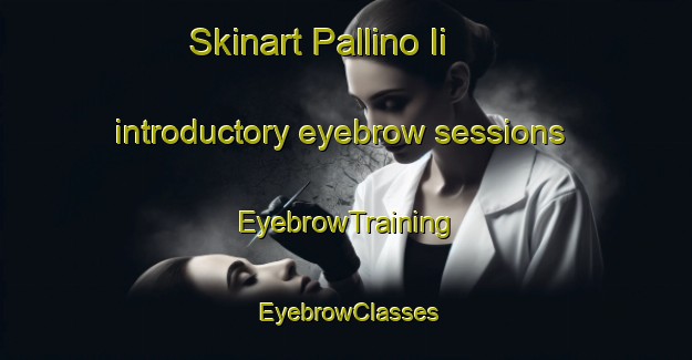 Skinart Pallino Ii introductory eyebrow sessions | EyebrowTraining | EyebrowClasses | SkinartTraining-Italy