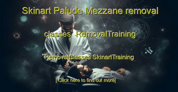 Skinart Palude Mezzane removal classes | #RemovalTraining #RemovalClasses #SkinartTraining-Italy