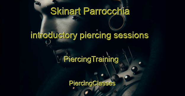 Skinart Parrocchia introductory piercing sessions | #PiercingTraining #PiercingClasses #SkinartTraining-Italy