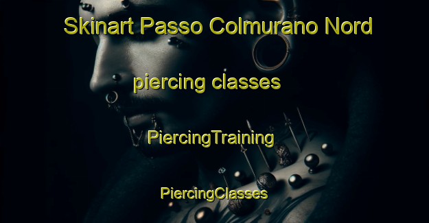 Skinart Passo Colmurano Nord piercing classes | #PiercingTraining #PiercingClasses #SkinartTraining-Italy