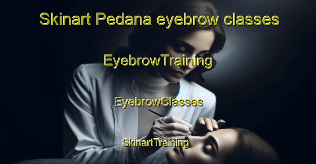 Skinart Pedana eyebrow classes | EyebrowTraining | EyebrowClasses | SkinartTraining-Italy