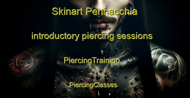 Skinart Pennacchia introductory piercing sessions | PiercingTraining | PiercingClasses | SkinartTraining-Italy