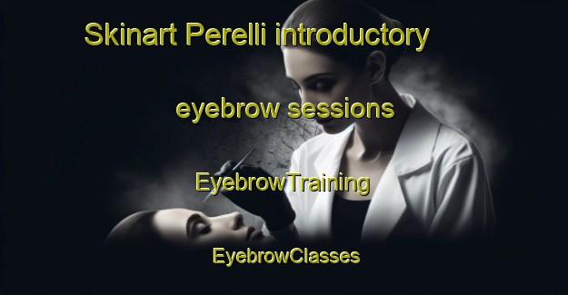 Skinart Perelli introductory eyebrow sessions | EyebrowTraining | EyebrowClasses | SkinartTraining-Italy