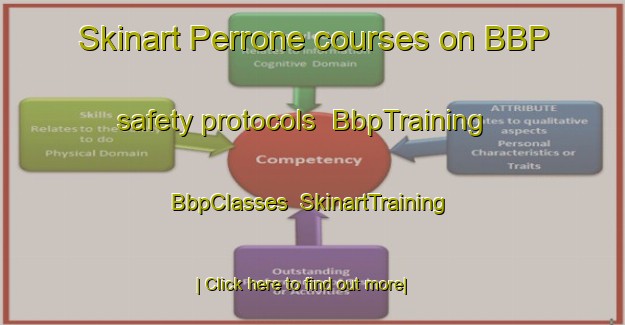 Skinart Perrone courses on BBP safety protocols | BbpTraining | BbpClasses | SkinartTraining-Italy