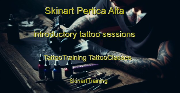 Skinart Pertica Alta introductory tattoo sessions | #TattooTraining #TattooClasses #SkinartTraining-Italy