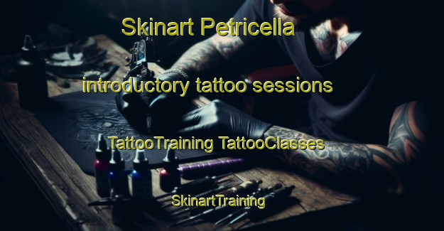 Skinart Petricella introductory tattoo sessions | #TattooTraining #TattooClasses #SkinartTraining-Italy