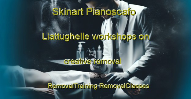 Skinart Pianoscafo Liattughelle workshops on creative removal | #RemovalTraining #RemovalClasses #SkinartTraining-Italy