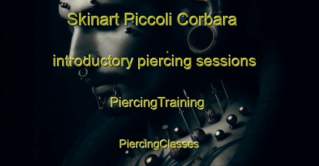 Skinart Piccoli Corbara introductory piercing sessions | #PiercingTraining #PiercingClasses #SkinartTraining-Italy