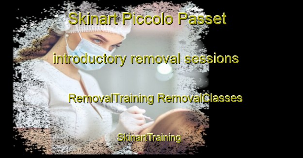 Skinart Piccolo Passet introductory removal sessions | #RemovalTraining #RemovalClasses #SkinartTraining-Italy