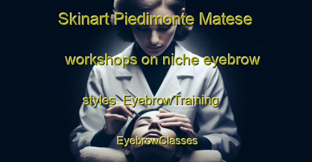 Skinart Piedimonte Matese workshops on niche eyebrow styles | EyebrowTraining | EyebrowClasses | SkinartTraining-Italy