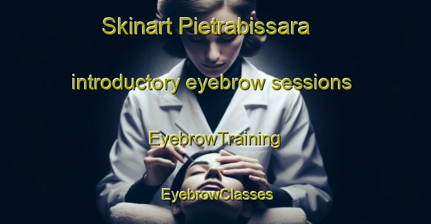 Skinart Pietrabissara introductory eyebrow sessions | EyebrowTraining | EyebrowClasses | SkinartTraining-Italy
