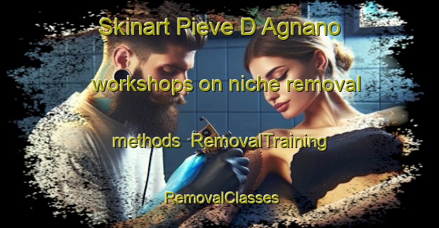 Skinart Pieve D Agnano workshops on niche removal methods | RemovalTraining | RemovalClasses | SkinartTraining-Italy