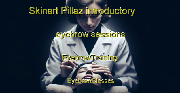 Skinart Pillaz introductory eyebrow sessions | EyebrowTraining | EyebrowClasses | SkinartTraining-Italy
