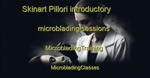 Skinart Pillori introductory microblading sessions | #MicrobladingTraining #MicrobladingClasses #SkinartTraining-Italy