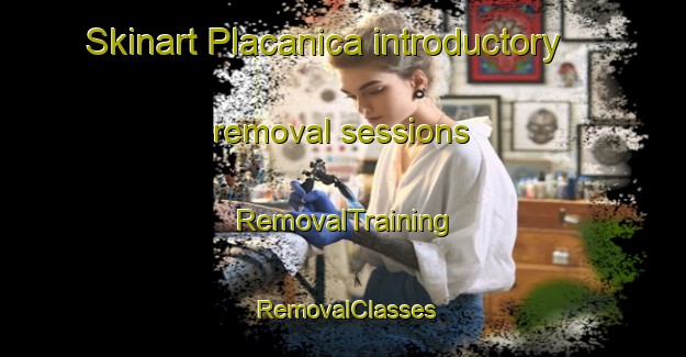 Skinart Placanica introductory removal sessions | RemovalTraining | RemovalClasses | SkinartTraining-Italy