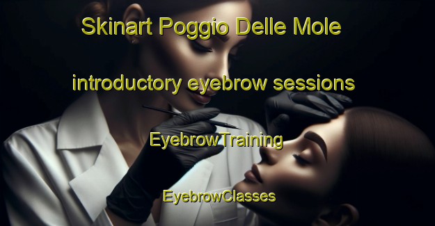 Skinart Poggio Delle Mole introductory eyebrow sessions | EyebrowTraining | EyebrowClasses | SkinartTraining-Italy