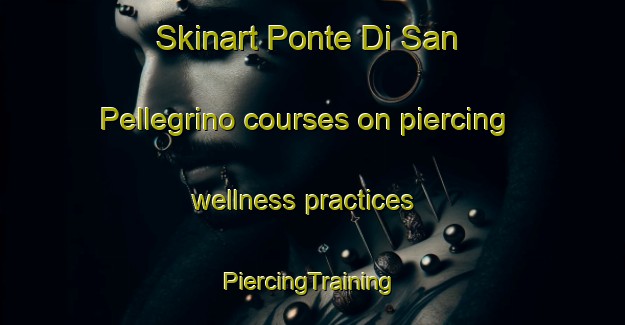 Skinart Ponte Di San Pellegrino courses on piercing wellness practices | #PiercingTraining #PiercingClasses #SkinartTraining-Italy