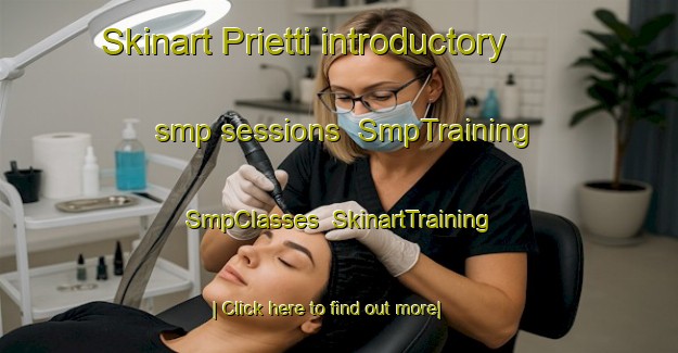 Skinart Prietti introductory smp sessions | SmpTraining | SmpClasses | SkinartTraining-Italy
