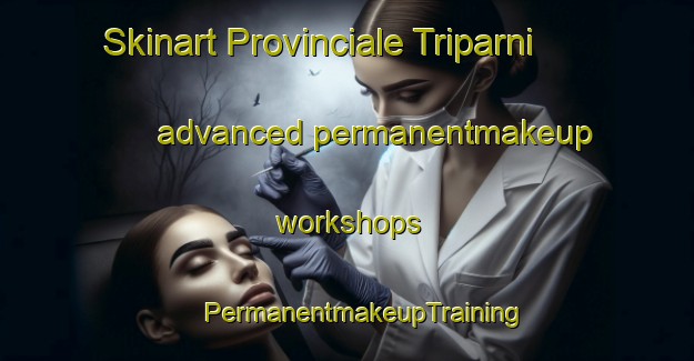 Skinart Provinciale Triparni advanced permanentmakeup workshops | #PermanentmakeupTraining #PermanentmakeupClasses #SkinartTraining-Italy