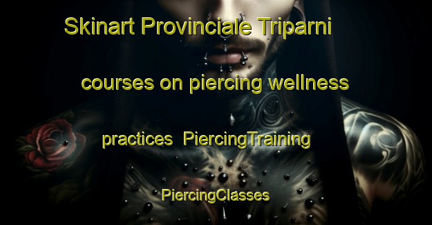 Skinart Provinciale Triparni courses on piercing wellness practices | #PiercingTraining #PiercingClasses #SkinartTraining-Italy