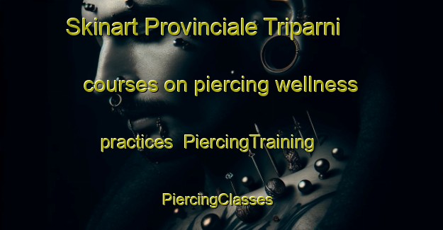 Skinart Provinciale Triparni courses on piercing wellness practices | PiercingTraining | PiercingClasses | SkinartTraining-Italy
