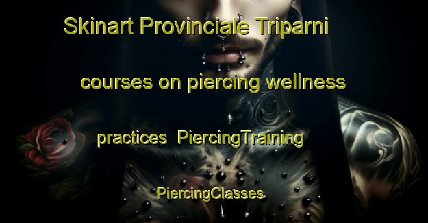 Skinart Provinciale Triparni courses on piercing wellness practices | PiercingTraining | PiercingClasses | SkinartTraining-Italy