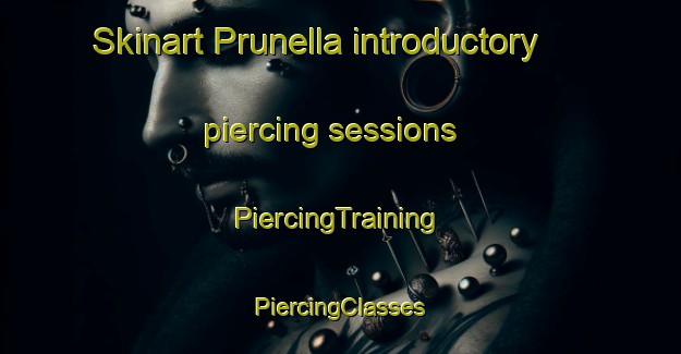 Skinart Prunella introductory piercing sessions | #PiercingTraining #PiercingClasses #SkinartTraining-Italy