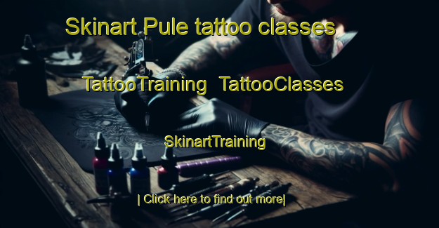 Skinart Pule tattoo classes | TattooTraining | TattooClasses | SkinartTraining-Italy