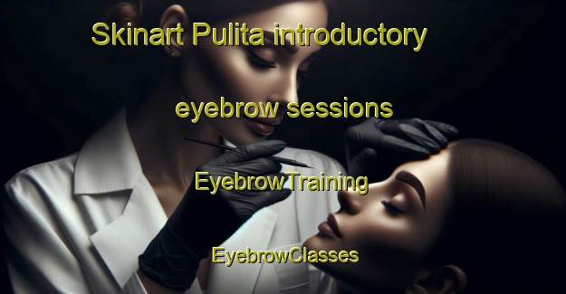 Skinart Pulita introductory eyebrow sessions | EyebrowTraining | EyebrowClasses | SkinartTraining-Italy