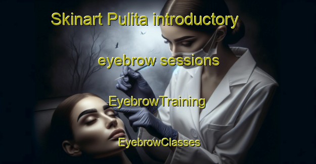 Skinart Pulita introductory eyebrow sessions | EyebrowTraining | EyebrowClasses | SkinartTraining-Italy