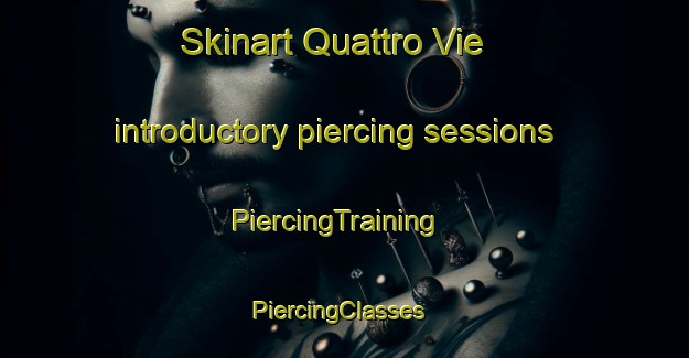Skinart Quattro Vie introductory piercing sessions | PiercingTraining | PiercingClasses | SkinartTraining-Italy