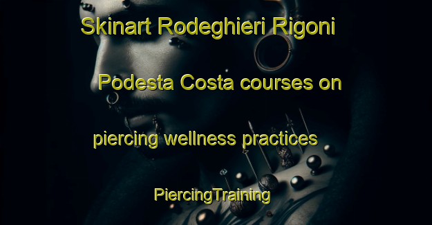 Skinart Rodeghieri Rigoni Podesta Costa courses on piercing wellness practices | #PiercingTraining #PiercingClasses #SkinartTraining-Italy