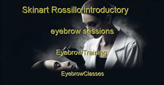 Skinart Rossillo introductory eyebrow sessions | EyebrowTraining | EyebrowClasses | SkinartTraining-Italy